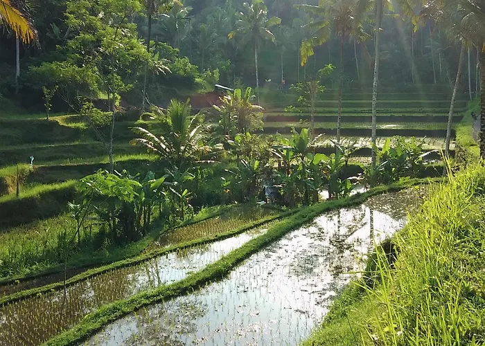 Villa Rimba Ubud *