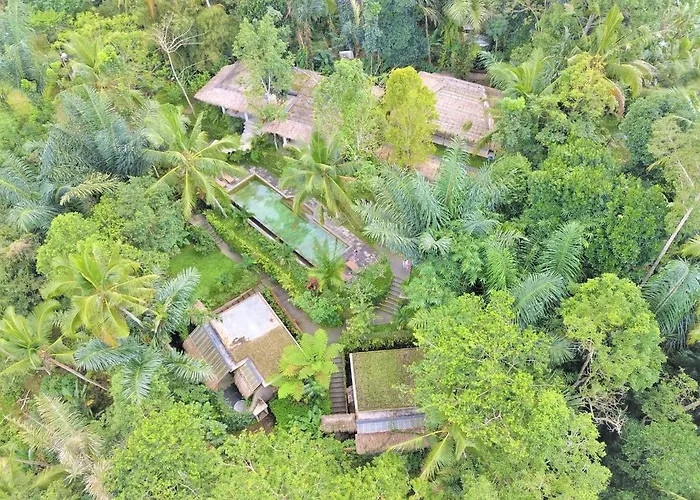 Rimba Ubud Tegallalang (Bali)