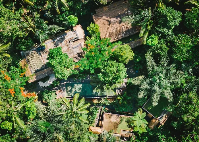 Rimba Ubud * Tegallalang (Bali)
