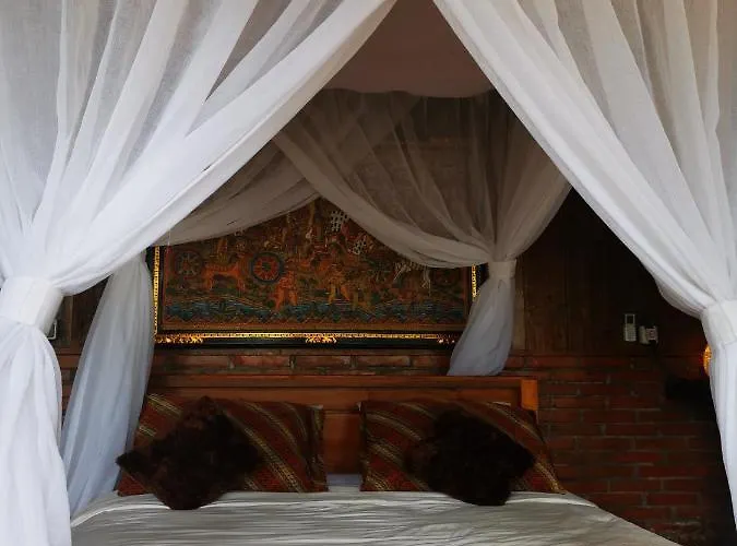 Rimba Ubud *