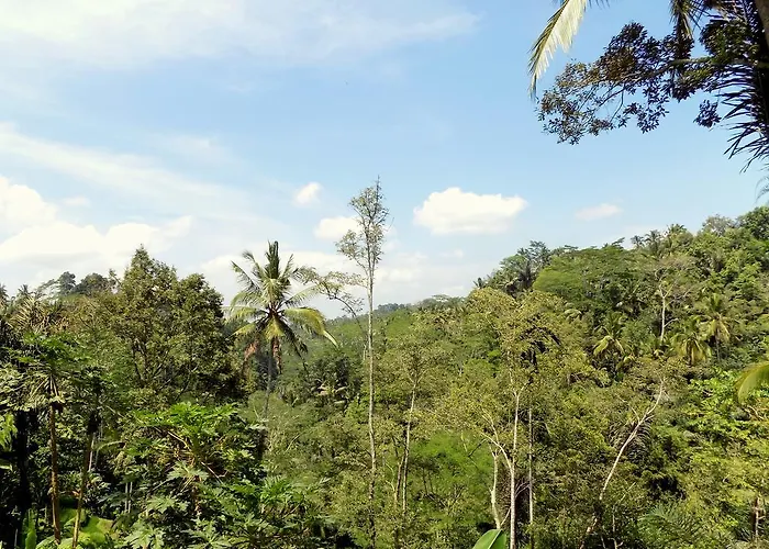 Rimba Ubud Villa Tegallalang (Bali)