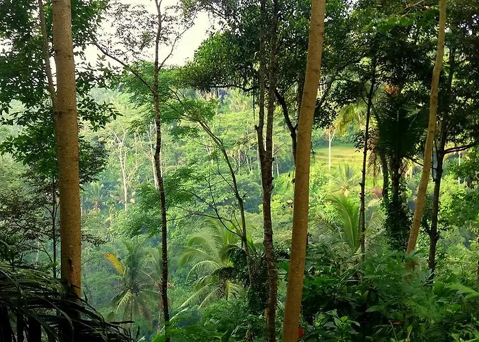Villa Rimba Ubud *