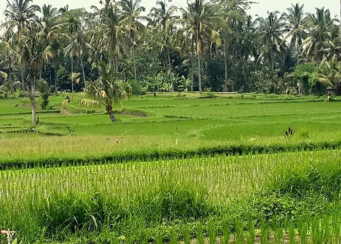 Rimba Ubud Tegallalang (Bali)